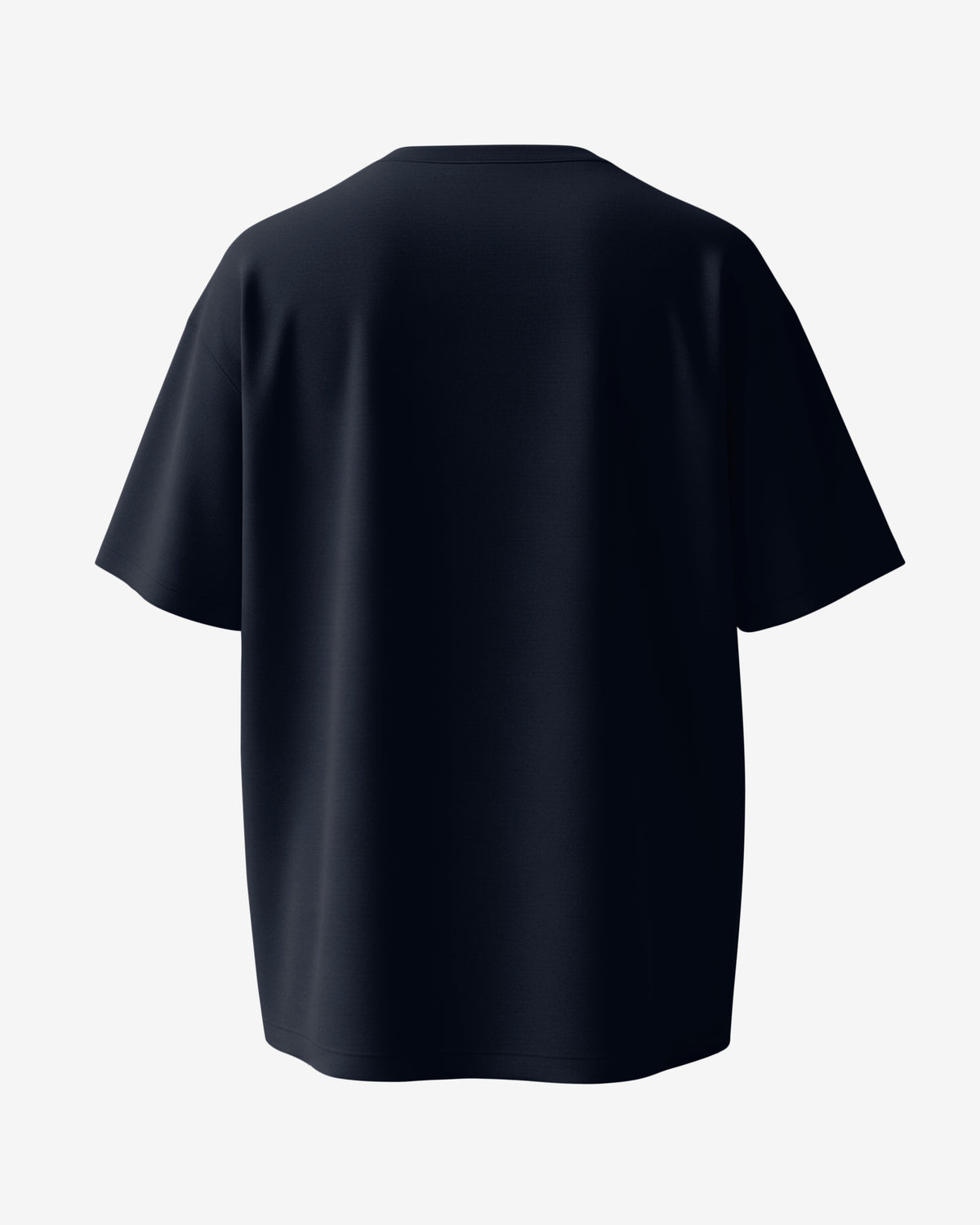 Not Flat, We Checked, NASA Parody - Oversize Tee
