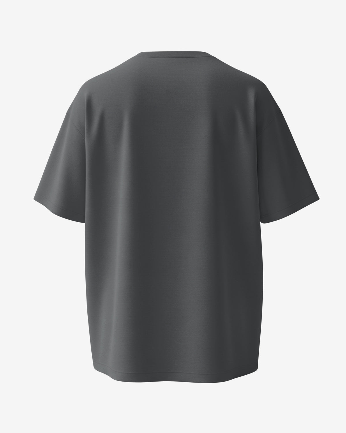 Not Flat, We Checked, NASA Parody - Oversize Tee